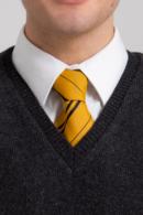 OFFICIAL WARNER BROS. HARRY POTTER HUFFLEPUFF HOUSE TIE